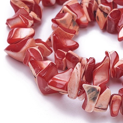 Freshwater Shell Beads Strands BSHE-L039-05-1