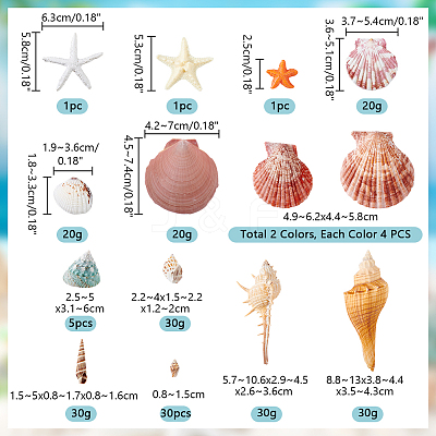 14 Styles Natural Shell Ornaments AJEW-PH0011-89-1