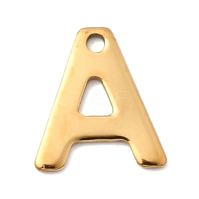 304 Stainless Steel Charms STAS-B093-12G-A-1