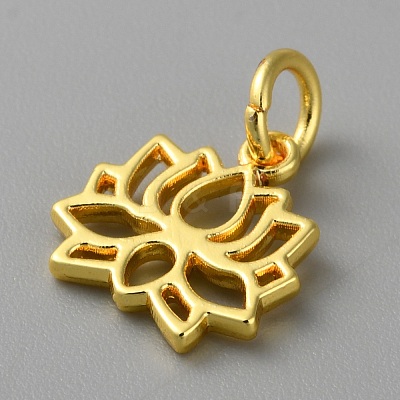Alloy Pendants FIND-WH0159-63G-05-1