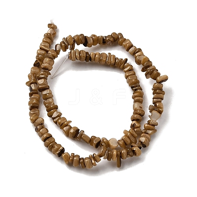 Natural Freshwater Shell Beads SHEL-B003-01D-1