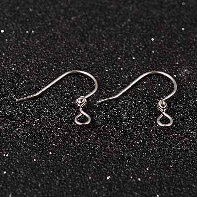 Tarnish Resistant 304 Stainless Steel Earring Hook Jewelry Findings STAS-M248-03-1