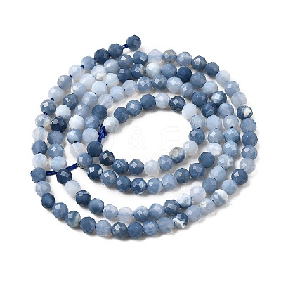 Natural Blue Opal Beads Strands G-P603-C-3mm-04-1