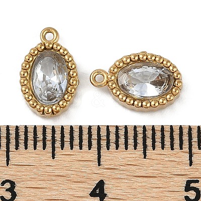 Ion Plating(IP) 304 Stainless Steel Micro Pave Cubic Zirconia Charms STAS-K256-19G-03-1