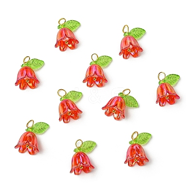 Transparent Acrylic Pendants PALLOY-YW00081-10-1
