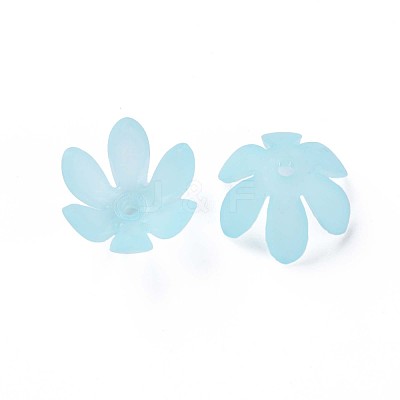 Transparent Acrylic Beads MACR-S373-47-D07-1