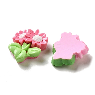 Flower Theme Opaque Resin Decoden Cabochons X-RESI-C044-02-1