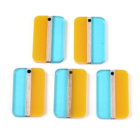 Transparent Resin & Wood Pendants RESI-T057-75-1