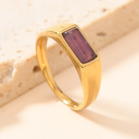 304 Stainless Steel & Natural Amethyst Finger Rings WG525D6-01-1