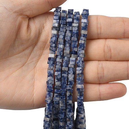 Natural Blue Spot Jasper Beads Strands G-A280-C06-01-1
