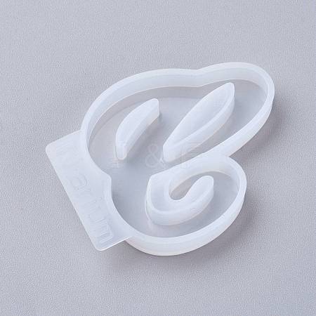 Letter DIY Silicone Molds DIY-I034-08C-1