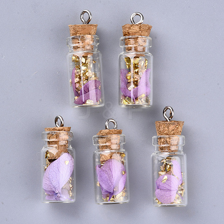 Glass Wishing Bottle Pendant Decorations GLAA-S181-09H-1