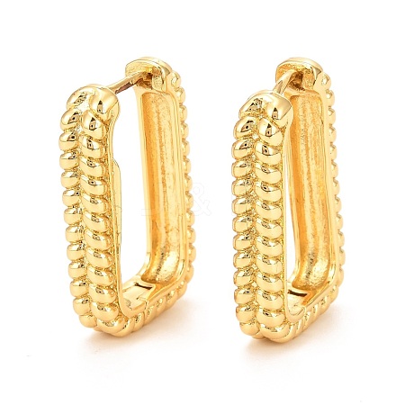 Brass Hoop Earrings EJEW-F273-02B-G-1