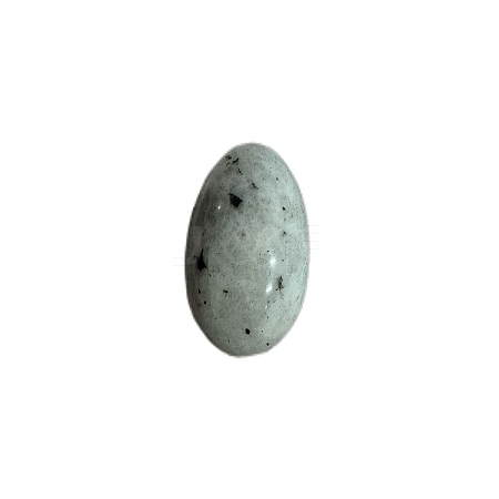 Natural Labradorite Carved Healing Egg Figurines PW-WG29511-05-1