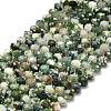 Natural Tree Agate Beads Strands G-P573-A17-01-2