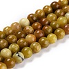 Natural Yellow Opal Beads G-P446-02A-1