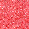 Glass Seed Beads X-SEED-S042-13A-07-3