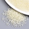 6/0 Glass Seed Beads X1-SEED-A014-4mm-134-1