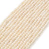 Natural Cultured Freshwater Pearl Beads Strands PEAR-L034-13A-2