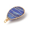 Dyed Natural Lapis Lazuli Pendants PALLOY-JF01332-3