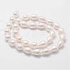 Rainbow Plated Shell Pearl Beads Strands BSHE-L027-01-6x9-2