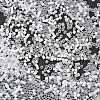 Imitation Cat Eyes Glass Seed Beads X1-SEED-H003-03J-4