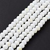 Electroplate Opaque Solid Color Glass Beads Strands EGLA-A044-P3mm-L01-2