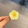 Flower Plastic Claw Hair Clips PW-WG3FA62-34-1