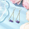 304 Stainless Steel with Natural Amethyst Dangle Earrings EJEW-JE06010-04-2