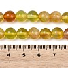 Handmade Lampwork Beads Strand LAMP-B056-8mm-6