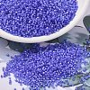 MIYUKI Delica Beads SEED-JP0008-DB2388-1
