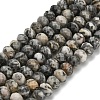 Natural Black Silk Stone/Netstone Beads Strands G-Z111-A45-3