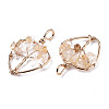 Natural Citrine Pendants G-T131-97-3