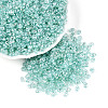 Transparent Colours Luster Glass Seed Beads SEED-N008-09C-1