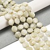 Natural Moonstone Beads Strands G-H005-B08-01-2