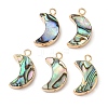 Natural Paua Shell Pendants SHEL-P017-24G-1