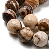 Natural Zebra Jasper Beads Strands G-C079-B01-02-4