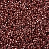 MIYUKI Delica Beads X-SEED-J020-DB2179-3