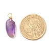 Natural Amethyst Pendants PALLOY-JF01582-01-5