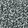 Imitation Cat Eyes Glass Seed Beads SEED-H003-03K-3