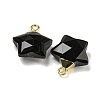 Natural Obsidian Pendants G-P540-01G-11-2