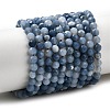 Natural Blue Opal Beads Strands G-P603-C-4mm-04-2