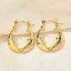 304 Stainless Steel Hoop Earrings for Women EJEW-L296-062G-2