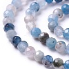 Natural Aquamarine Beads Strands G-C003-04-3