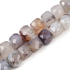 Natural Botswana Agate Beads Strands G-H078-C37-6mm-2