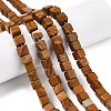 Natural Wood Lace Stone Beads Strands G-T139-6x6-03B-1