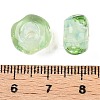 Handmade Lampwork Beads Strands LAMP-T021-15D-4