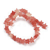 Synthetic Coral Dyed Carved Beads Strands SHEL-K007-18A-2