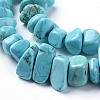 Natural Magnesite Beads Strands TURQ-G152-C01-3