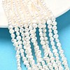 Natural Cultured Freshwater Pearl Beads Strands PEAR-C004-09B-1
